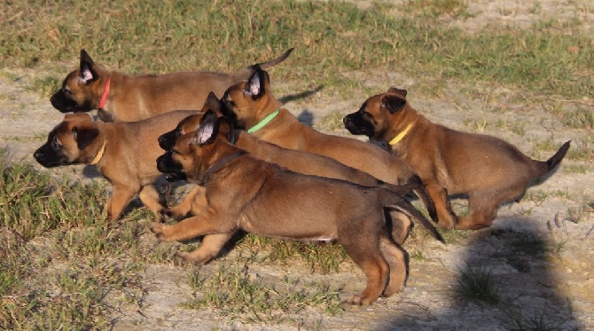 Des Guerriers d'Anubis - Tous les bébés sont nommés !