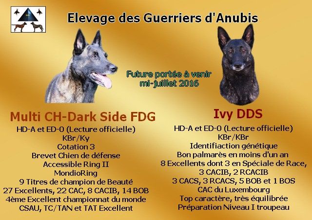 Des Guerriers d'Anubis - Mariage consommé, bébés à venir mi-juillet