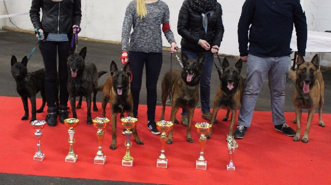 Des Guerriers d'Anubis - Carton plein à l'exposition internationale de Rouen pour finir l'année