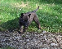 Paco des Guerriers d'Anubis