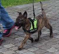Nice des Guerriers d'Anubis
